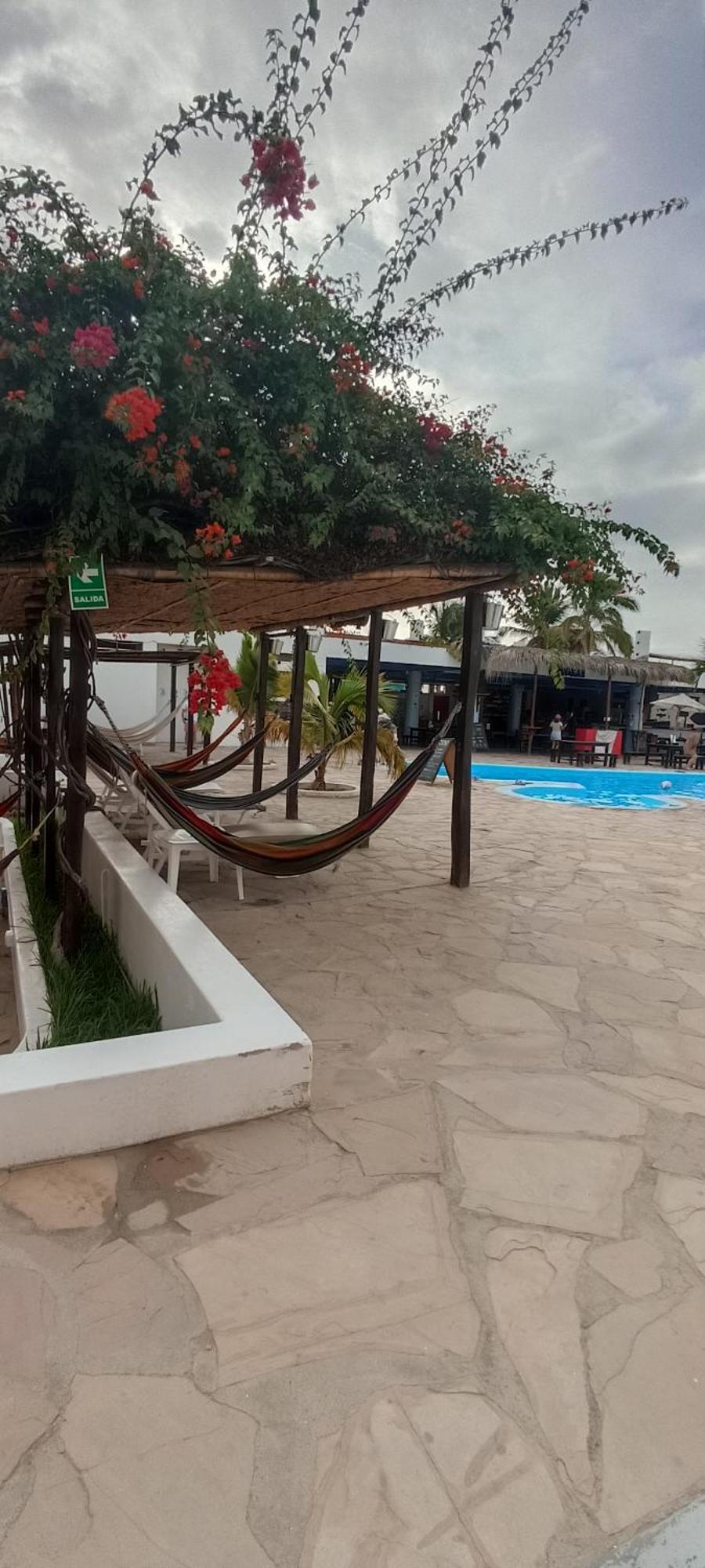 Loki Del Mar Hostel Mancora Bagian luar foto