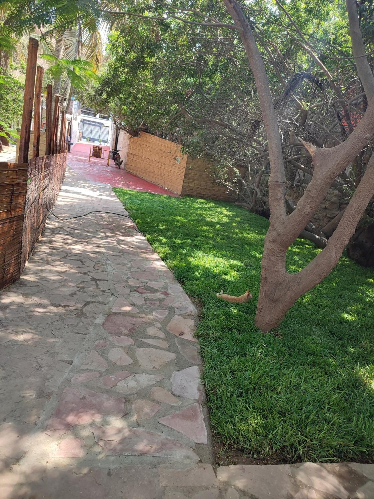 Loki Del Mar Hostel Mancora Bagian luar foto