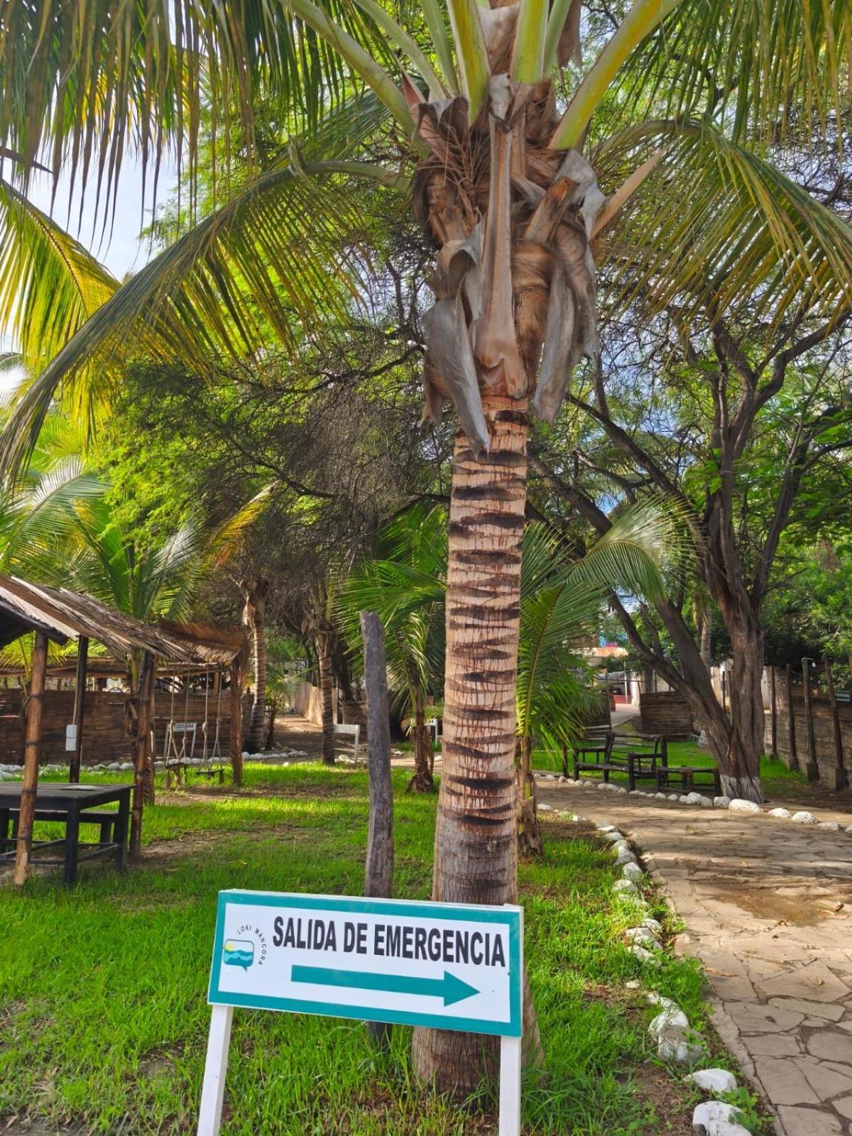 Loki Del Mar Hostel Mancora Bagian luar foto